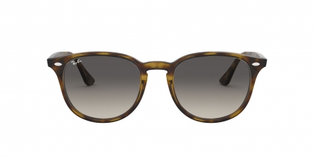 RB4259 Sunglasses