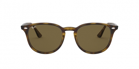 RB4259 Sunglasses
