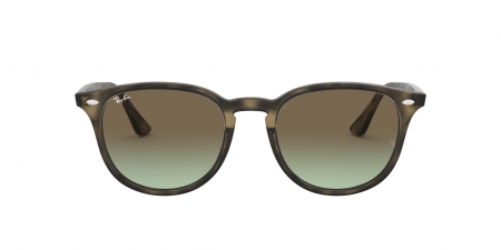 RB4259 Sunglasses