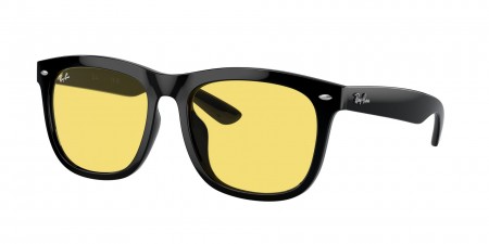 RB4260D Sunglasses