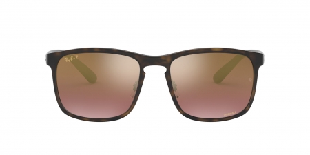 RB4264 Sunglasses