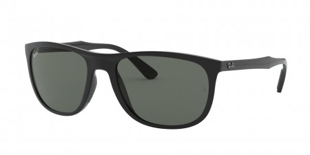RB4291 Sunglasses