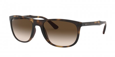 RB4291 Sunglasses