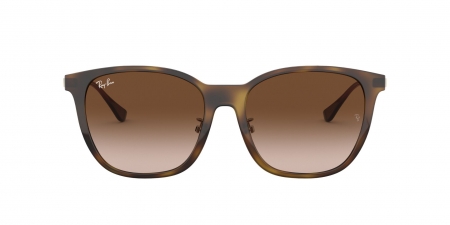 RB4333D Sunglasses