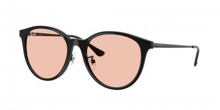 RB4334D Sunglasses