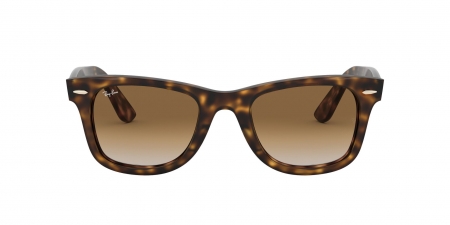 RB4340 Wayfarer Sunglasses
