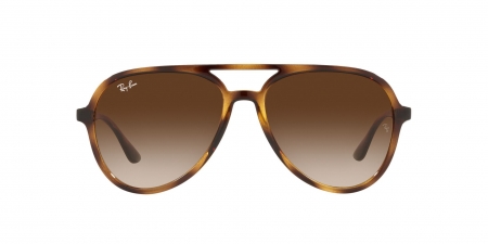 RB4376 Sunglasses