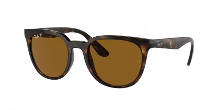 RB4381I Sunglasses