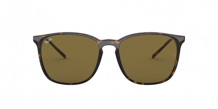 RB4387F Sunglasses