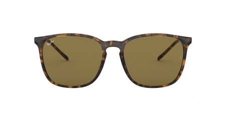 RB4387 Sunglasses