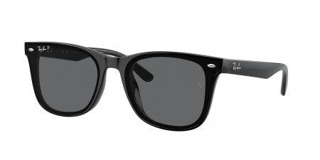 RB4391D Sunglasses