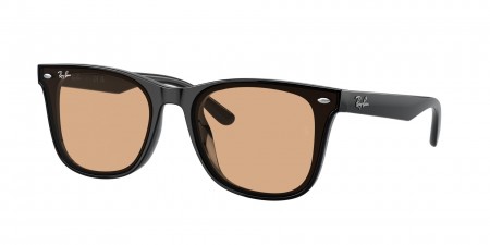 RB4391D Sunglasses
