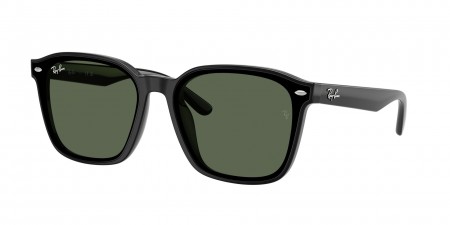 RB4392D Sunglasses