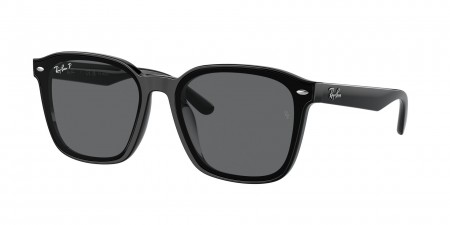 RB4392D Sunglasses