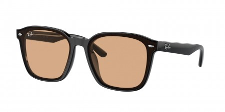 RB4392D Sunglasses