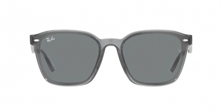 RB4392D Sunglasses