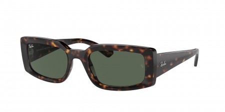 RB4395 Kiliane Sunglasses