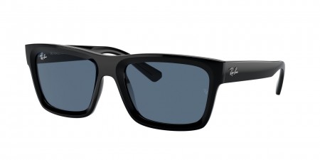 RB4396F Warren Sunglasses