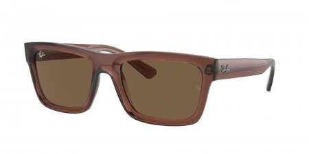 RB4396F Warren Sunglasses