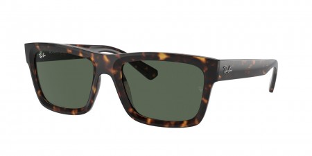 RB4396 Warren Sunglasses