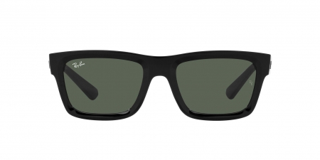 RB4396 Warren Sunglasses