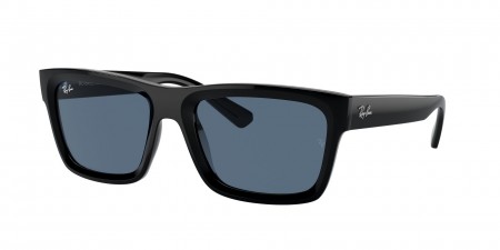 RB4396 Warren Sunglasses