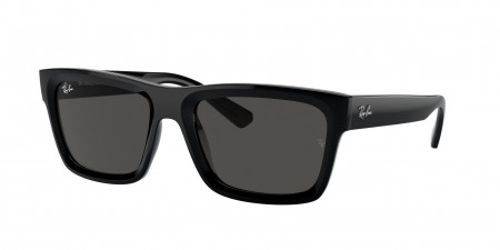 RB4396 Warren Sunglasses