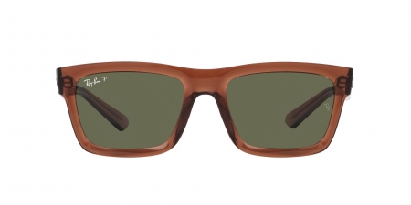 RB4396 Warren Sunglasses