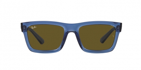 RB4396 Warren Sunglasses