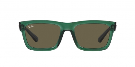 RB4396 Warren Sunglasses
