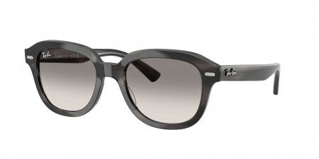 RB4398F Erik Sunglasses