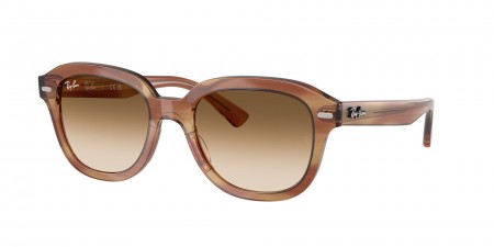 RB4398 Erik Sunglasses