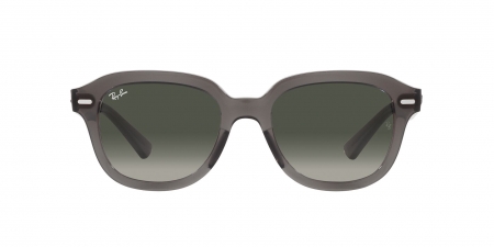 RB4398 Erik Sunglasses