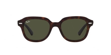 RB4398 Erik Sunglasses