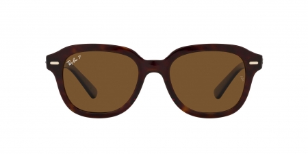 RB4398 Erik Sunglasses