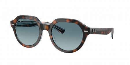 RB4399 Gina Sunglasses