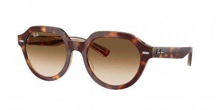 RB4399 Gina Sunglasses