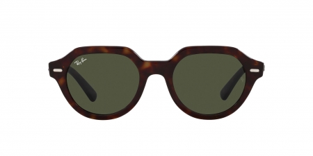 RB4399 Gina Sunglasses