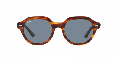 RB4399 Gina Sunglasses