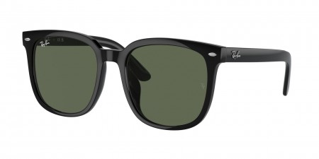 RB4401D Sunglasses