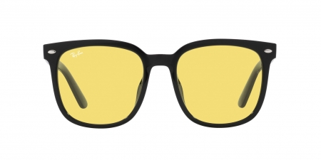 RB4401D Sunglasses