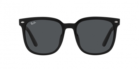 RB4401D Sunglasses