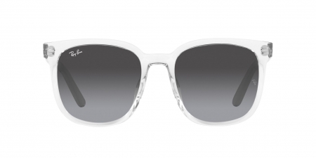 RB4401D Sunglasses