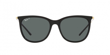 RB4402L Sunglasses