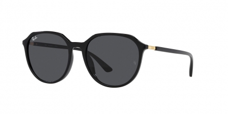 RB4415L Sunglasses