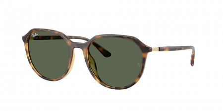 RB4415L Sunglasses