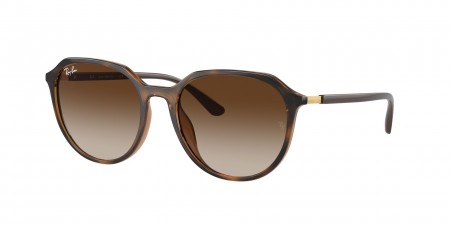 RB4415L Sunglasses