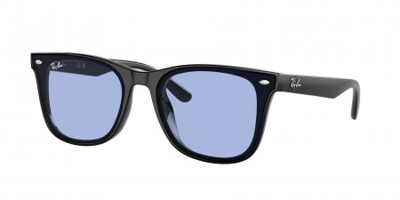 RB4420 Sunglasses