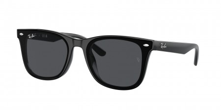 RB4420 Sunglasses