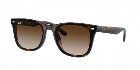 RB4420 Sunglasses